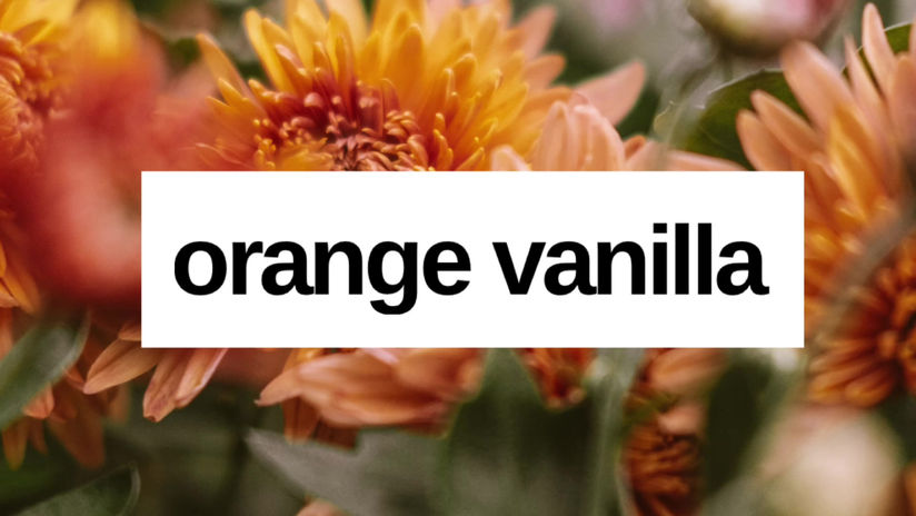 ORANGE VANILLA